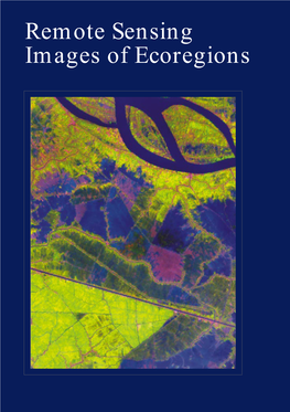 Remote Sensing Images of Ecoregions