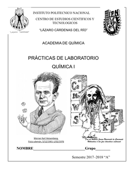 Prácticas De Laboratorio Química I