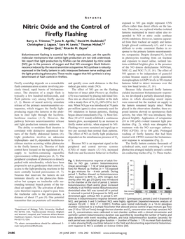 Nitric Oxide and the Control of Firefly Flashing