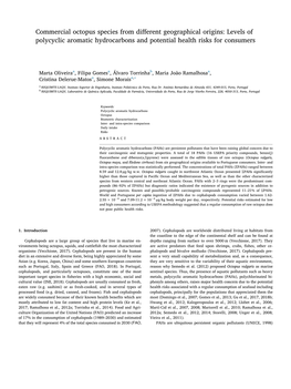 Commercial Octopus Species from Different Geographical Origins