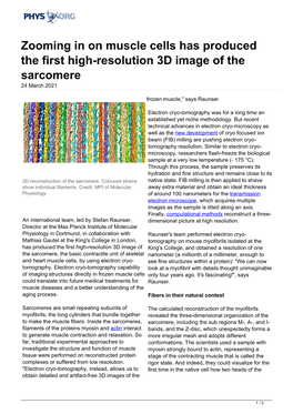Zooming in on Muscle Cells Has Produced the First High-Resolution 3D Image of the Sarcomere 24 March 2021