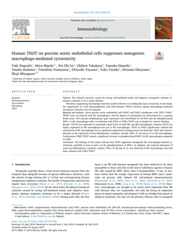 Human TIGIT on Porcine Aortic Endothelial Cells Suppresses