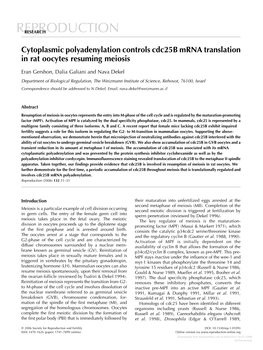 Cytoplasmic Polyadenylation Controls Cdc25b Mrna Translation in Rat Oocytes Resuming Meiosis