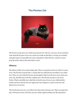 The Persian Cat