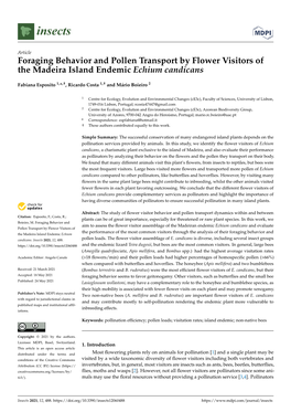 Foraging Behavior and Pollen Transport by Flower Visitors of the Madeira Island Endemic Echium Candicans