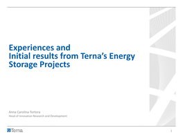 Terna's Energy Storage Strategy