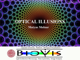 OPTICAL ILLUSIONS Matyas Molnar More Info, Examples, Sources