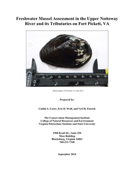 Freshwater Mussel Assessment in the Upper Nottoway River and Its Tributaries on Fort Pickett, VA