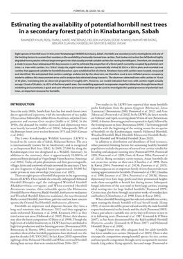 Estimating the Availability of Potential Hornbill Nest Trees in a Secondary Forest Patch in Kinabatangan, Sabah