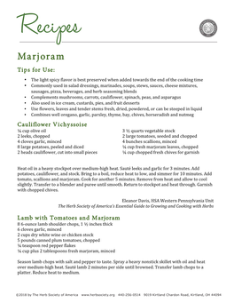 Marjoram Tips for Use