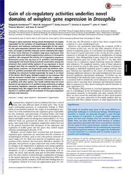 Gain of Cis-Regulatory Activities Underlies Novel Domains of Wingless Gene Expression in Drosophila