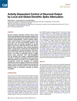 Activity-Dependent Control of Neuronal Output by Local and Global Dendritic Spike Attenuation