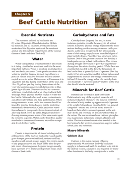 Beef Cattle Nutrition