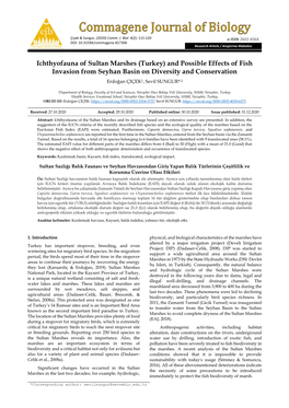 Ichthyofauna of Sultan Marshes (Turkey) and Possible Effects of Fish Invasion from Seyhan Basin on Diversity and Conservation Erdoğan ÇIÇEK1, Sevil SUNGUR*,2