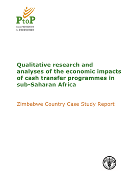 Qualitative Research and Analyses of the Economic Impacts of Cash Transfer Programmes In
