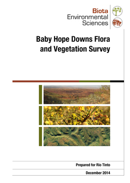 Baby Hope Downs Flora Report V10.Docx 3 Baby Hope Downs Flora and Vegetation Survey