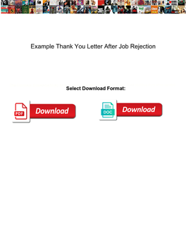 Example Thank You Letter After Job Rejection