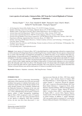 A New Species of Reed Snake, Calamaria Boie, 1827 from the Central Highlands of Vietnam (Squamata: Colubridae) Thomas Ziegler1,2