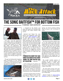 The Sonic Baitfish™ for Bottom Fish by John Kruse | Mack’S Lure Pro Staff