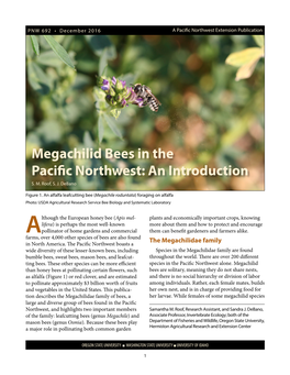 Megachilid Bees in the Pacific Northwest: an Introduction S