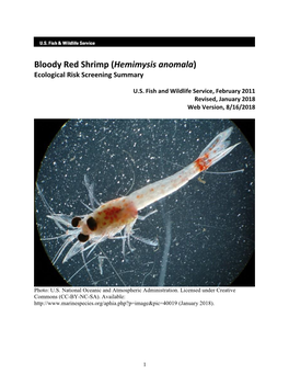 Hemimysis Anomala) Ecological Risk Screening Summary