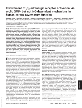 Involvement of Я3-Adrenergic Receptor Activation Via Cyclic