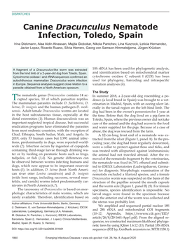 Canine Dracunculus Nematode Infection, Toledo, Spain