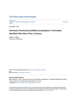 Pammene Perstructana (Walker) (Lepidoptera: Tortricidae) Identified After More Than a Century