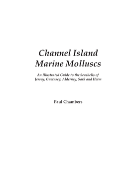 Channel Island Marine Molluscs