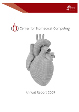 Center for Biomedical Computing Annual Report 2009