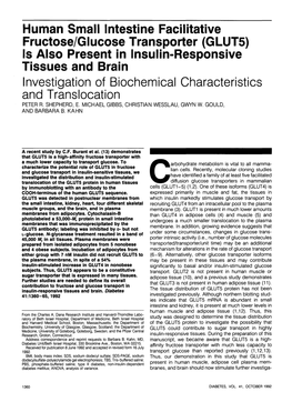 GLUT5) Is Also Present in Insulin-Responsive and Brain Investigation of Biochemical Characteristics and Translocation PETER R