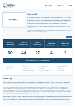 Walmart US Summary