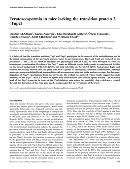 Teratozoospermia in Mice Lacking the Transition Protein 2 (Tnp2)