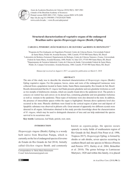 Structural Characterization of Vegetative Organs of the Endangered Brazilian Native Species Hesperozygis Ringens (Benth.) Epling