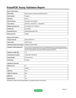 Primepcr™Assay Validation Report