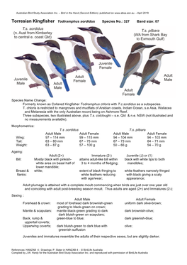 Torresian Kingfisher Todiramphus Sordidus Species No.: 327 Band Size: 07