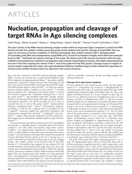 Nucleation, Propagation and Cleavage of Target Rnas in Ago Silencing Complexes