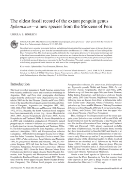 The Oldest Fossil Record of the Extant Penguin Genus Spheniscus—A New Species from the Miocene of Peru