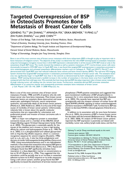 Targeted Overexpression of BSP in Osteoclasts Promotes Bone Metastasis of Breast Cancer Cells
