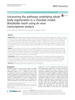 Uncovering the Pathways Underlying