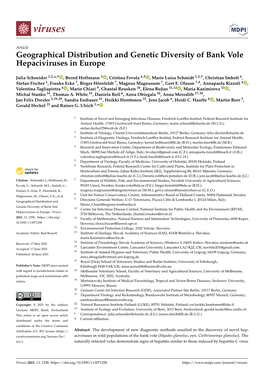 Geographical Distribution and Genetic Diversity of Bank Vole Hepaciviruses in Europe