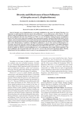 Diversity and Effectiveness of Insect Pollinators of Jatropha Curcas L