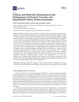 Cellular and Molecular Mechanisms in the Pathogenesis of Classical, Vascular, and Hypermobile Ehlers‒Danlos Syndromes