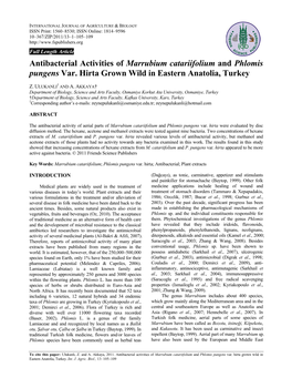 Antibacterial Activities of Marrubium Catariifolium and Phlomis Pungens Var