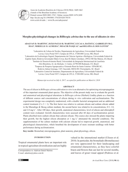 Morpho-Physiological Changes in Billbergia Zebrina Due to the Use of Silicates in Vitro