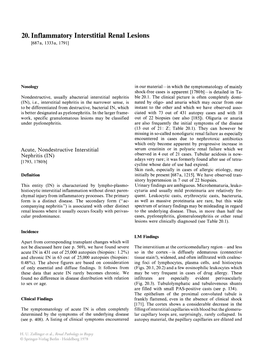 20. Inflammatory Interstitial Renal Lesions [687A, 1333A, 1791]