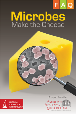 Make the Cheese