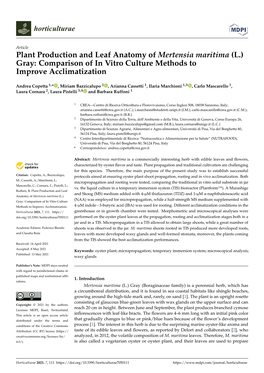 Plant Production and Leaf Anatomy of Mertensia Maritima (L.) Gray: Comparison of in Vitro Culture Methods to Improve Acclimatization