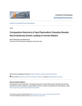 Comparative Genomics of Ape Plasmodium Parasites Reveals Key Evolutionary Events Leading to Human Malaria