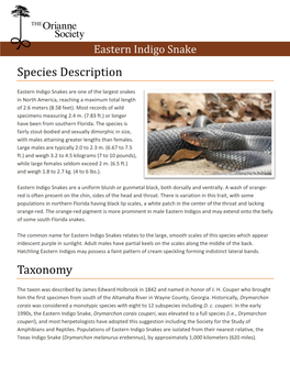 Species Description Taxonomy